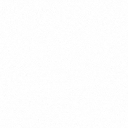 company logo animation